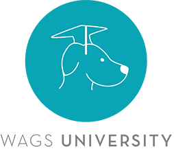Wags 'N Whiskers | Services_University_icon