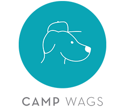 Wags 'N Whiskers | Services_camp2_icon